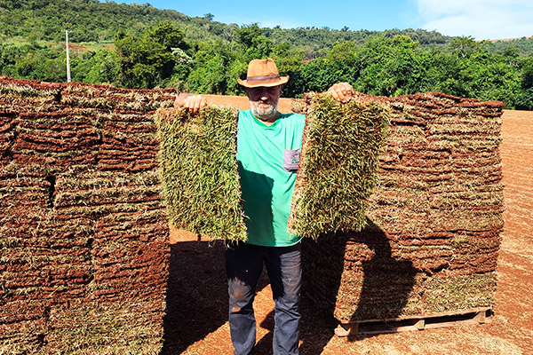 Produção de Grama